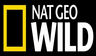 Kênh NATGEOWILD